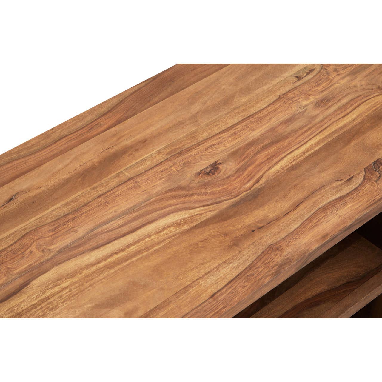 Surati One Door Sheesham And Acacia Wood Media Unit