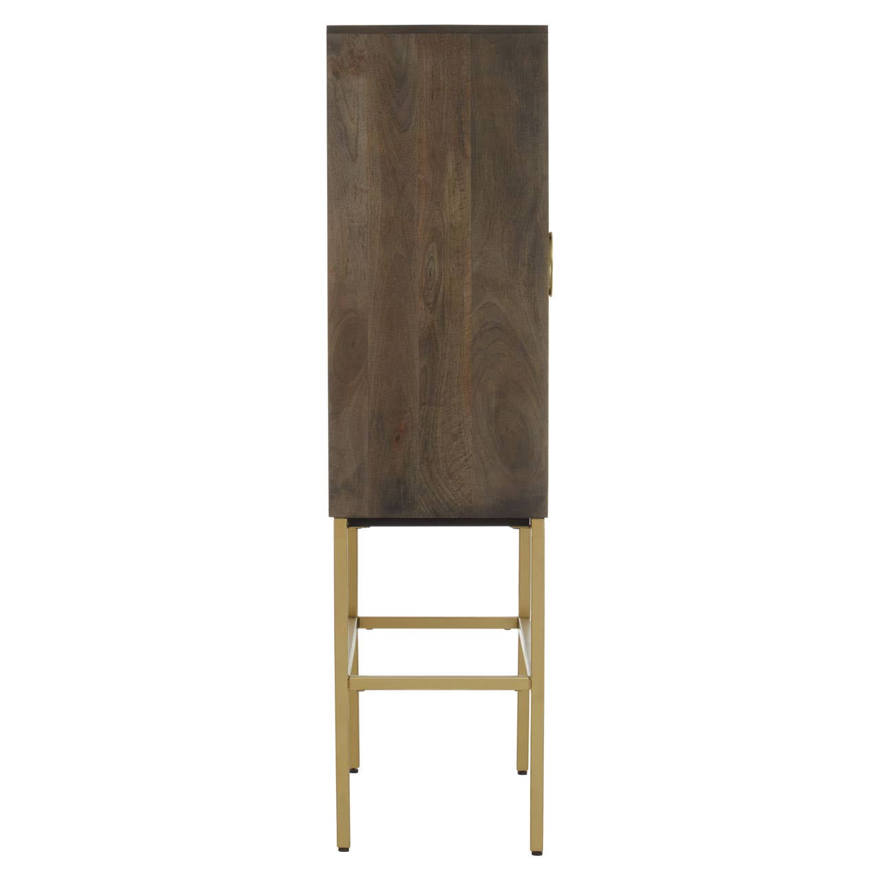 Suri Two Door Cabinet